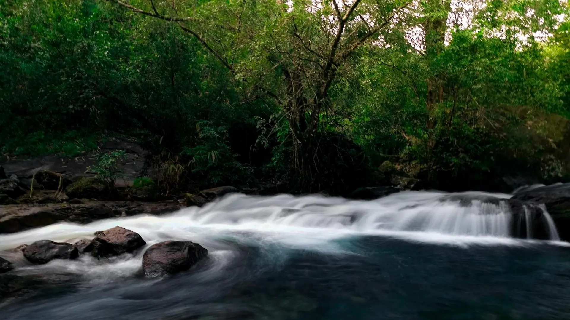 Maram Resort Mamalakandam 0*,